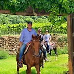 La Pria Wine Lonigo