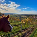 La Pria Wine * Lonigo