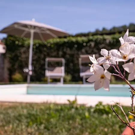 Фермерский дом La Pria Wine *