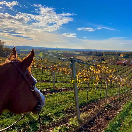 La Pria Wine * Lonigo