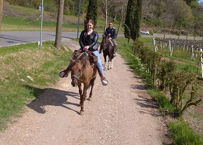 La Pria Wine Feriegård *