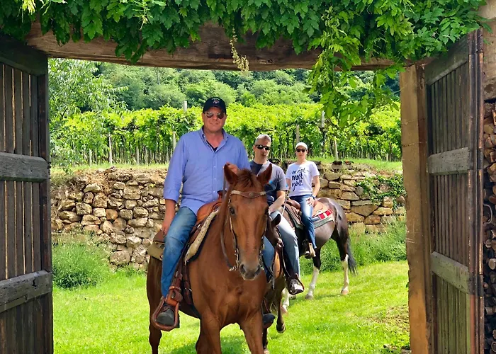 La Pria Wine Creazzo